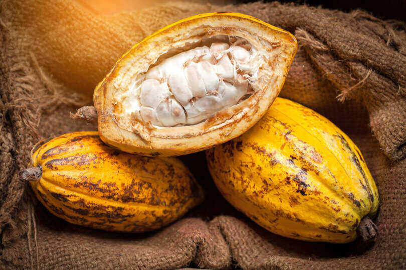 Cocoa contains anti-inflammatory properties