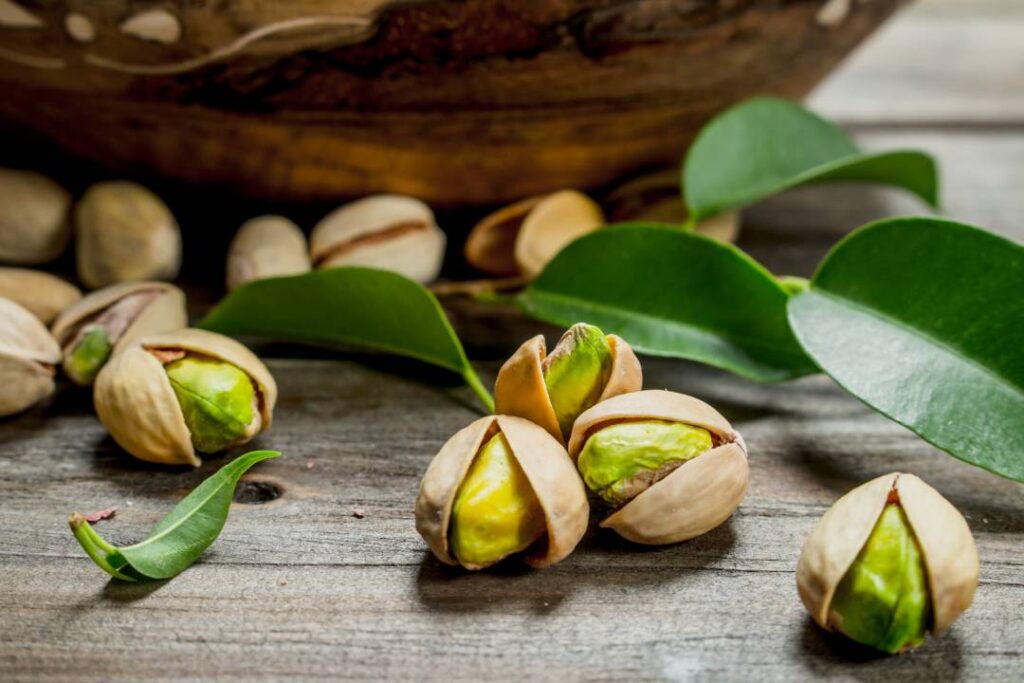 Pistachios with green leaves